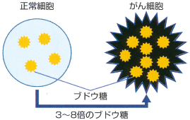 PET検査のしくみ